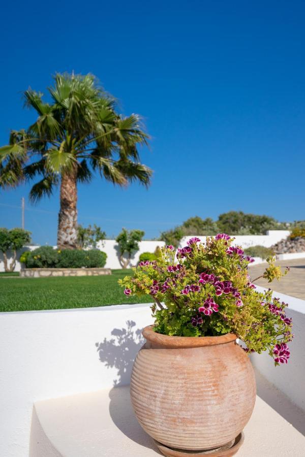 Georgia'S Apartments Kouremenos Beach Anevato Экстерьер фото